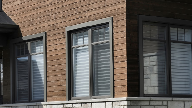 Hybrid windows